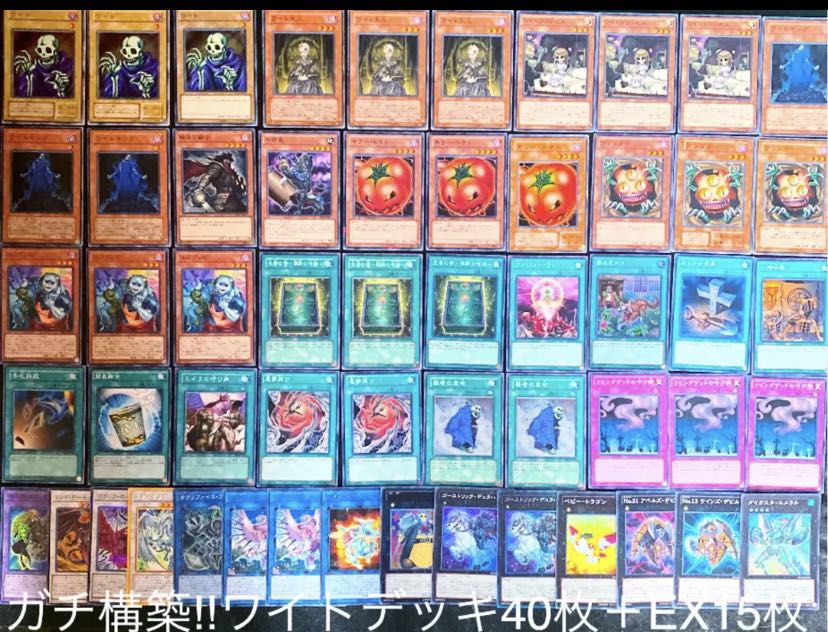 遊戯王 本格構築海皇デッキ40枚＋E X15枚 遊戯王 本格構築海皇デッキ40