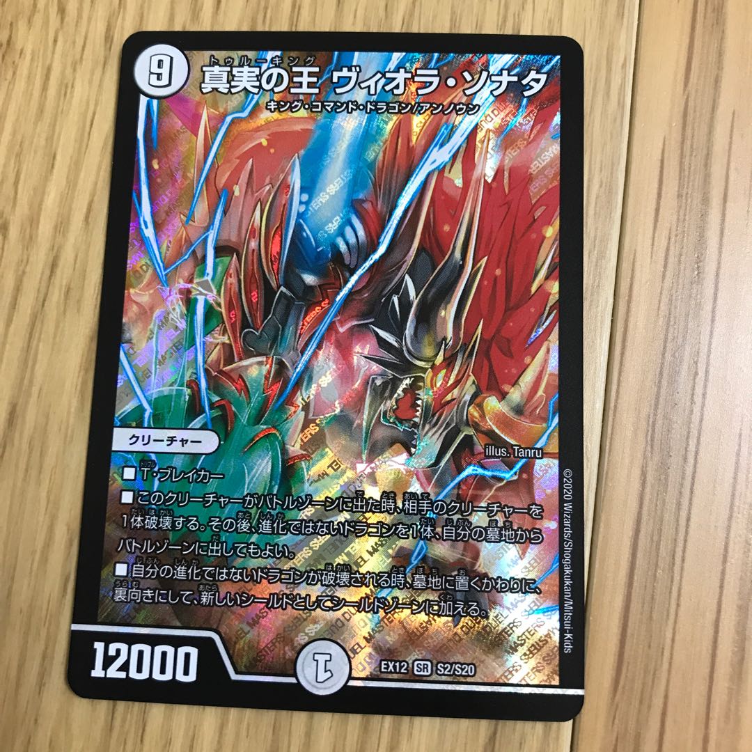 真実の王 ヴィオラ・ソナタ 1枚の通販 購入されても発送できません