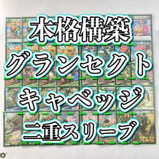 キャベッジ デッキ」の激安通販 | magi