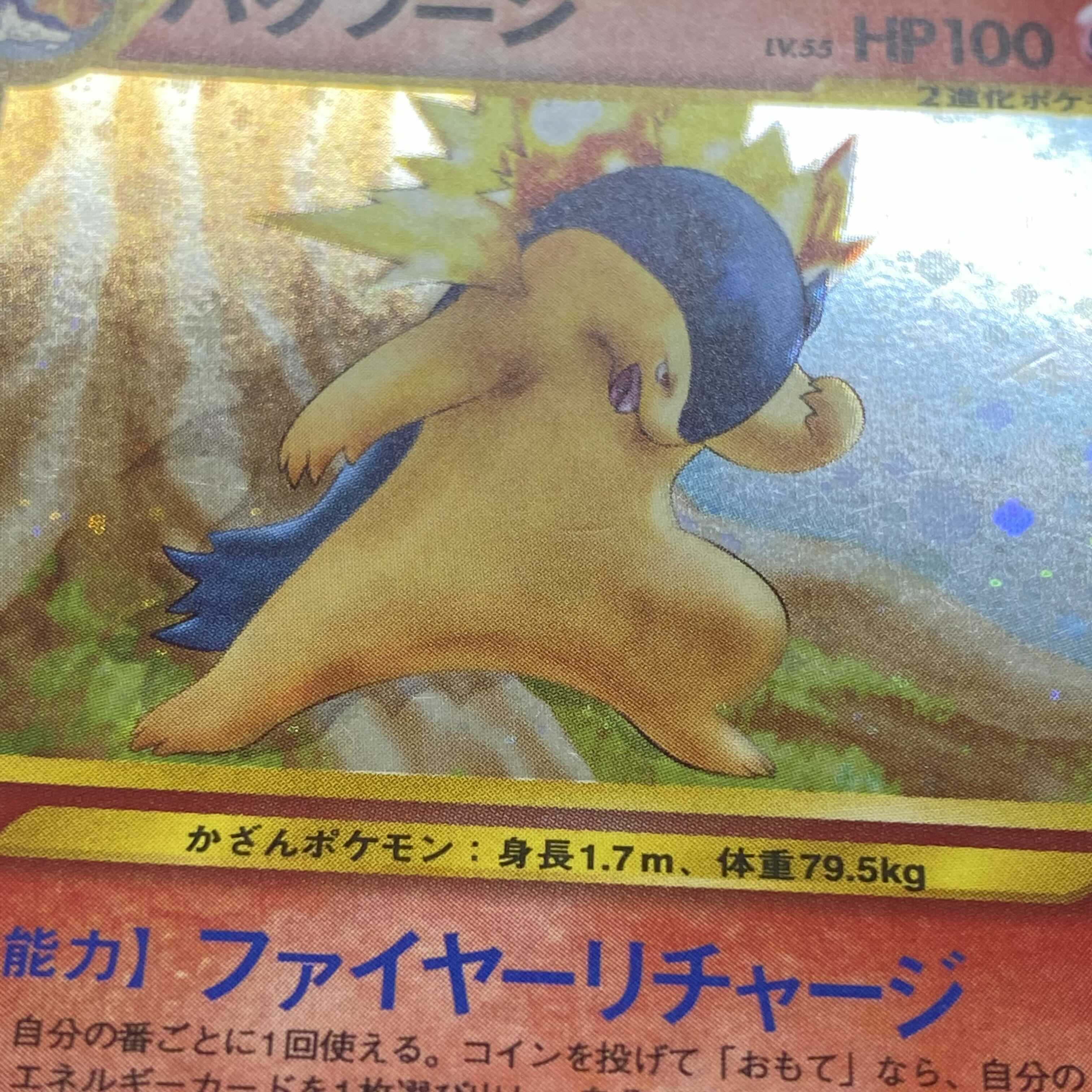 エラーカード】バクフーン ファイヤーリチャージ プラス表記 1枚の通販