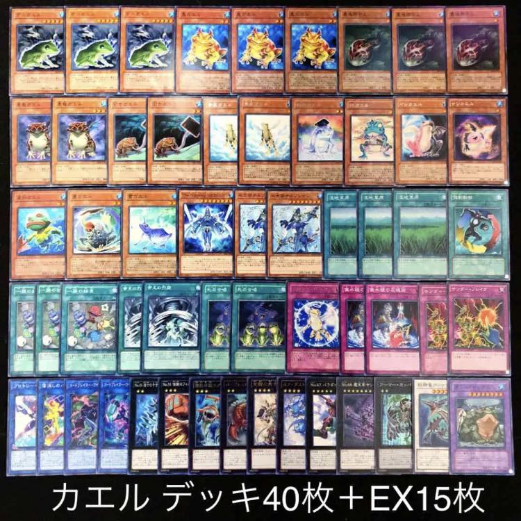 遊戯王 カエル デッキ40枚 EX15枚 構築済み ガエル エクシーズ 水族 30
