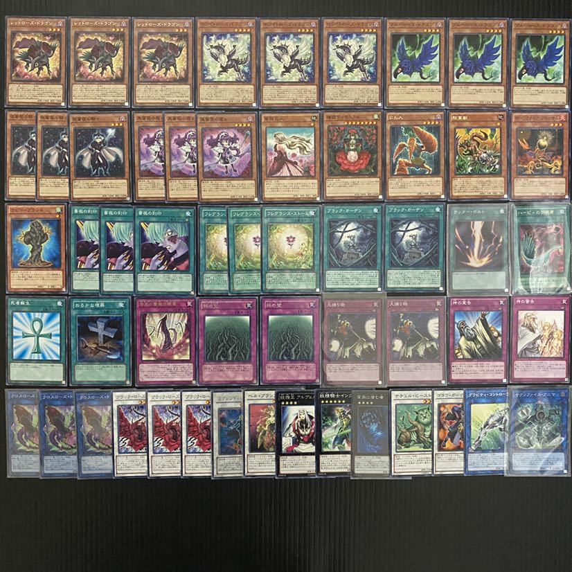 ローズドラゴンデッキ ガチ構築 遊戯王 No.44 1枚の通販 pareruya