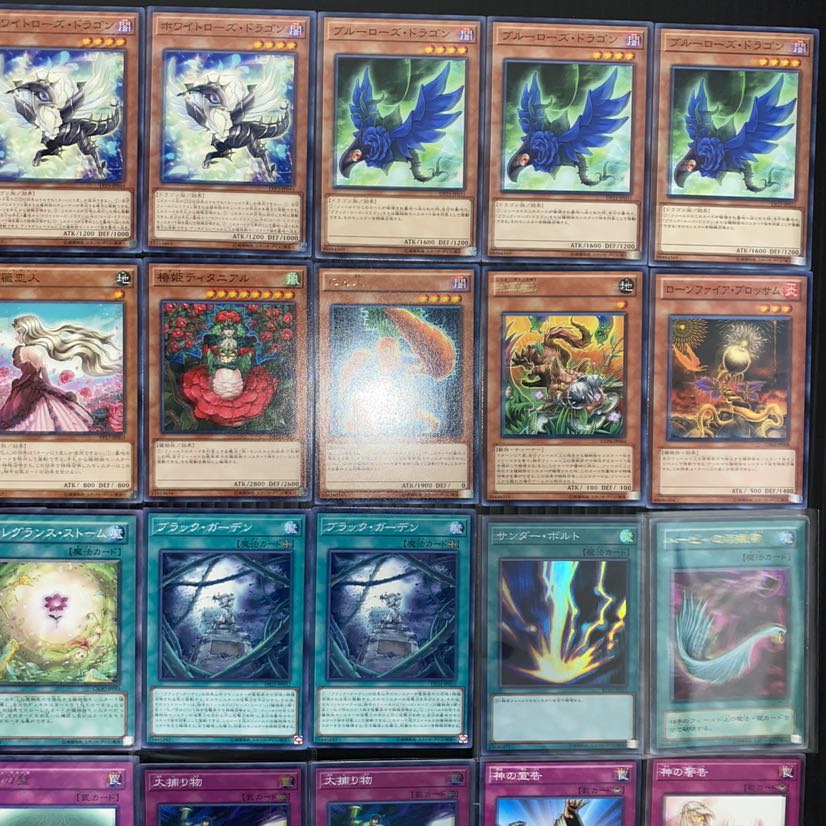 ローズドラゴンデッキ ガチ構築 遊戯王 No.44 1枚の通販 pareruya