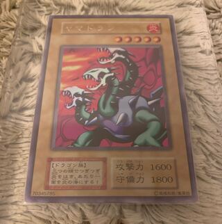 ヤマドラン」の激安通販 | magi