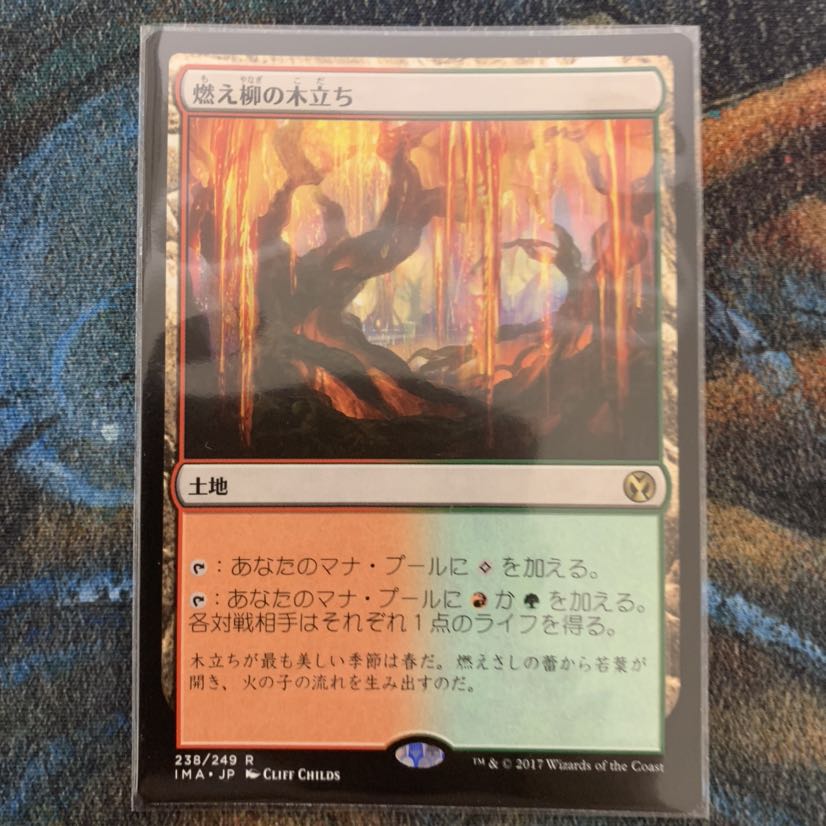 MTG 燃え柳の木立ち 日本語 1枚の通販 てにをは＠出品発送停止中
