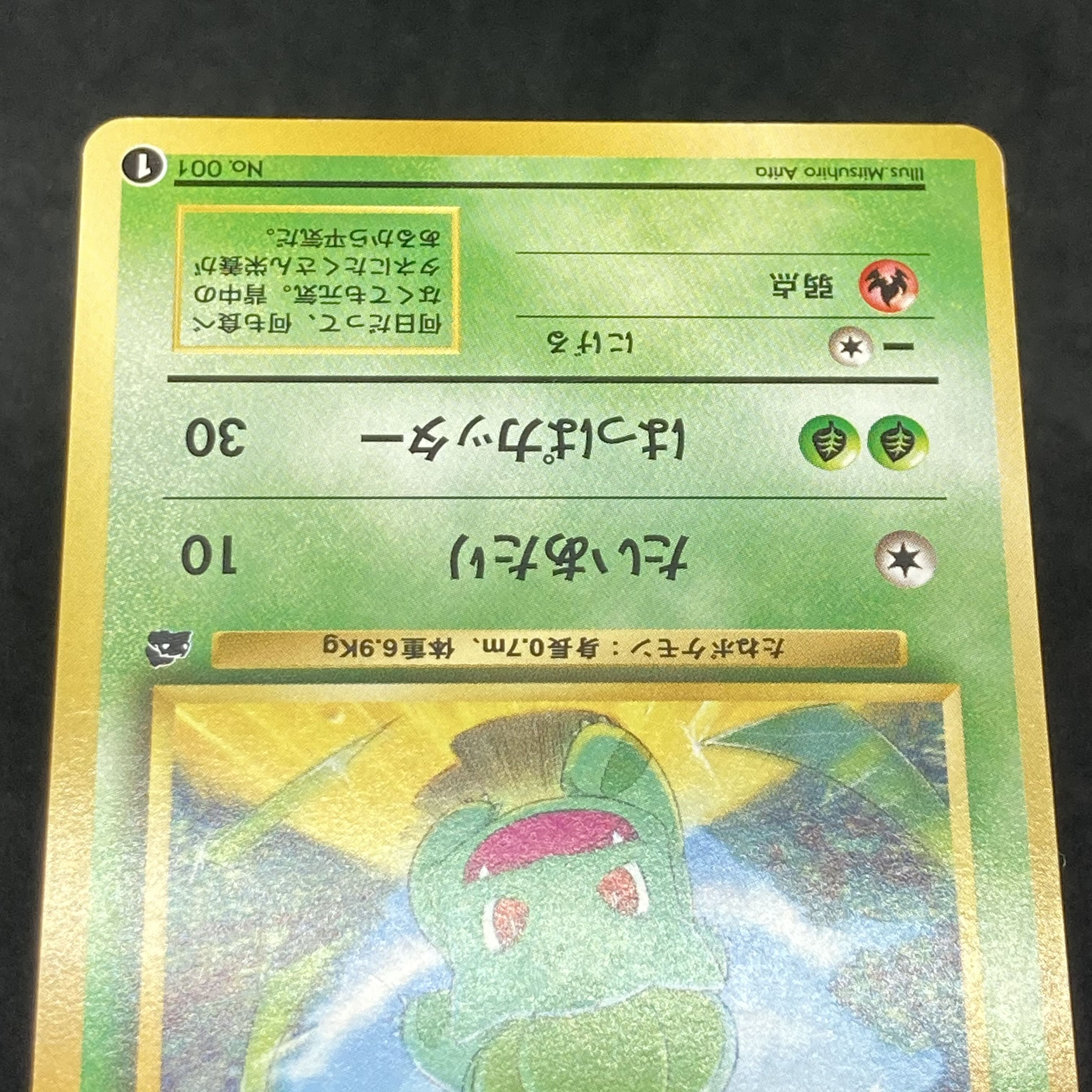 ポケモンカード 旧裏面 フシギダネ イントロパック 1枚の通販 希少商品