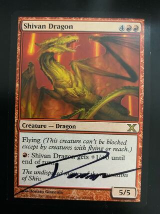 シヴ山」の激安通販 | magi