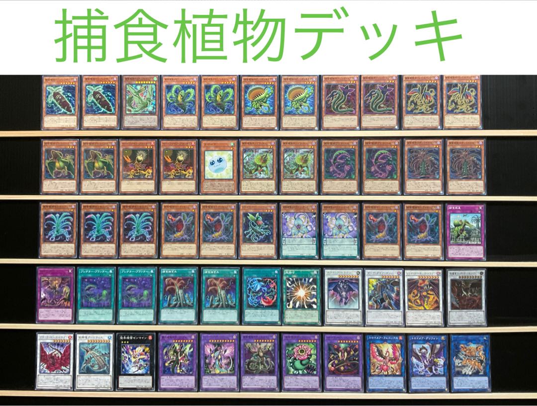 遊戯王 捕食植物デッキ メイン40エクストラ15 スリーブ付 ドラゴスタ