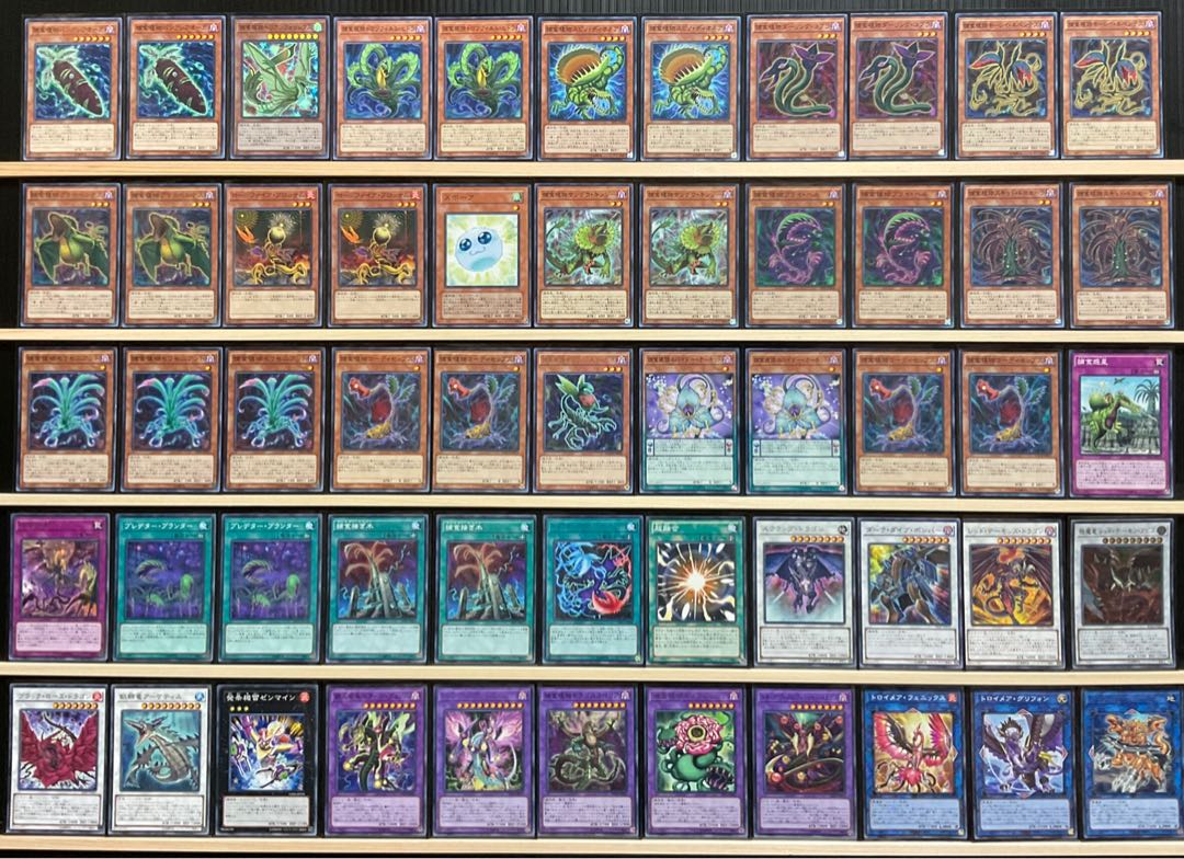 遊戯王 捕食植物デッキ メイン40エクストラ15 スリーブ付 ドラゴスタ
