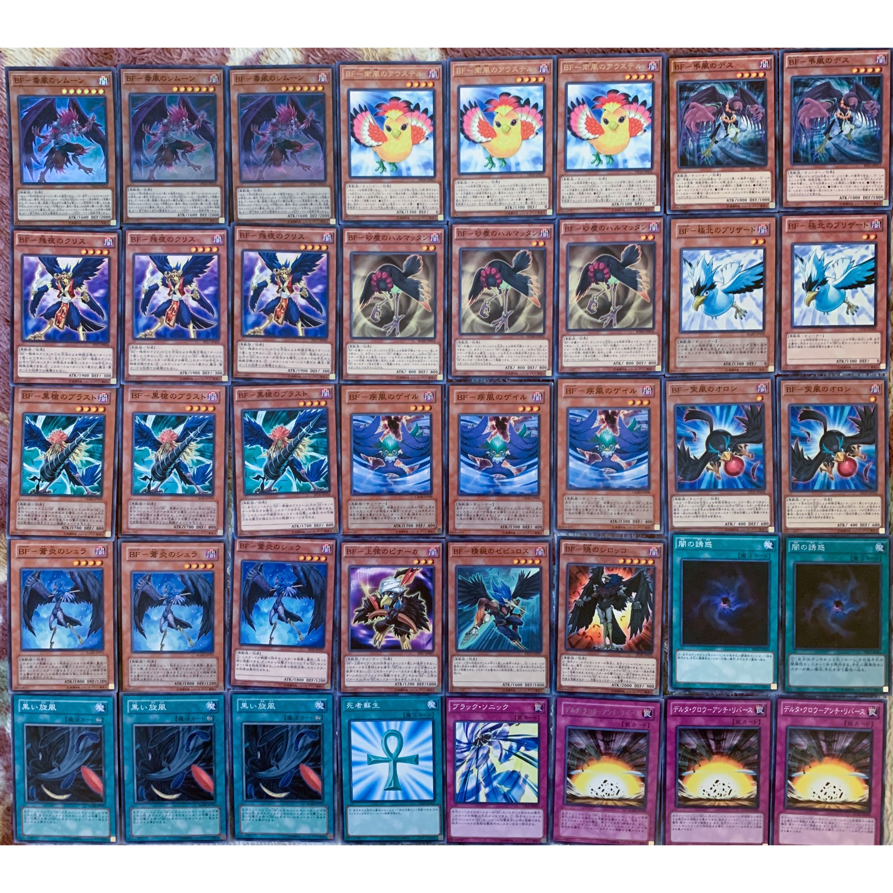 ガチ構築 BF ブラック・フェザー デッキ EX15 1枚の通販 シロナ 引退品