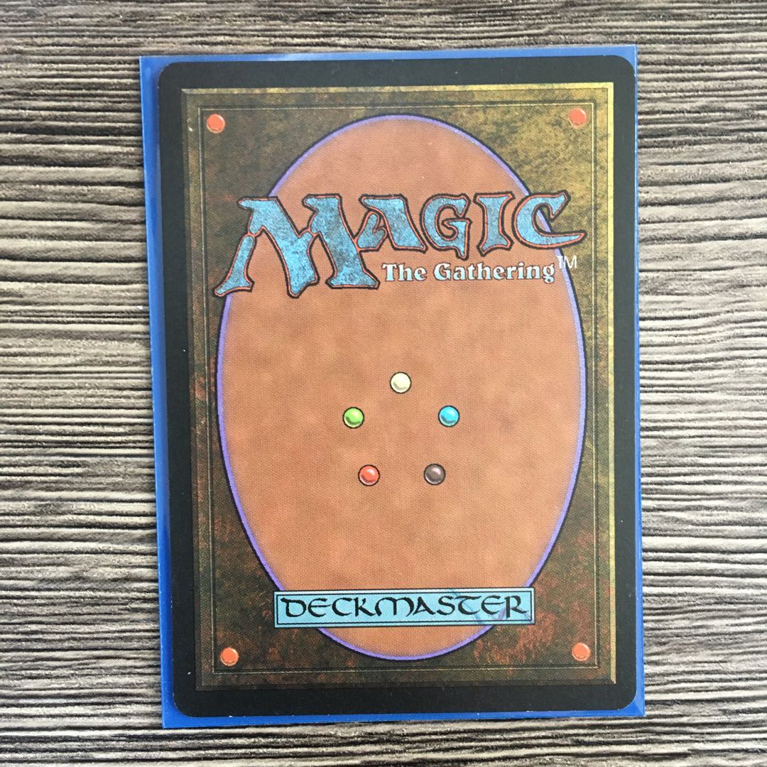 実物提示教育 英語版 1枚の通販 bonsu（1987753764） | magi