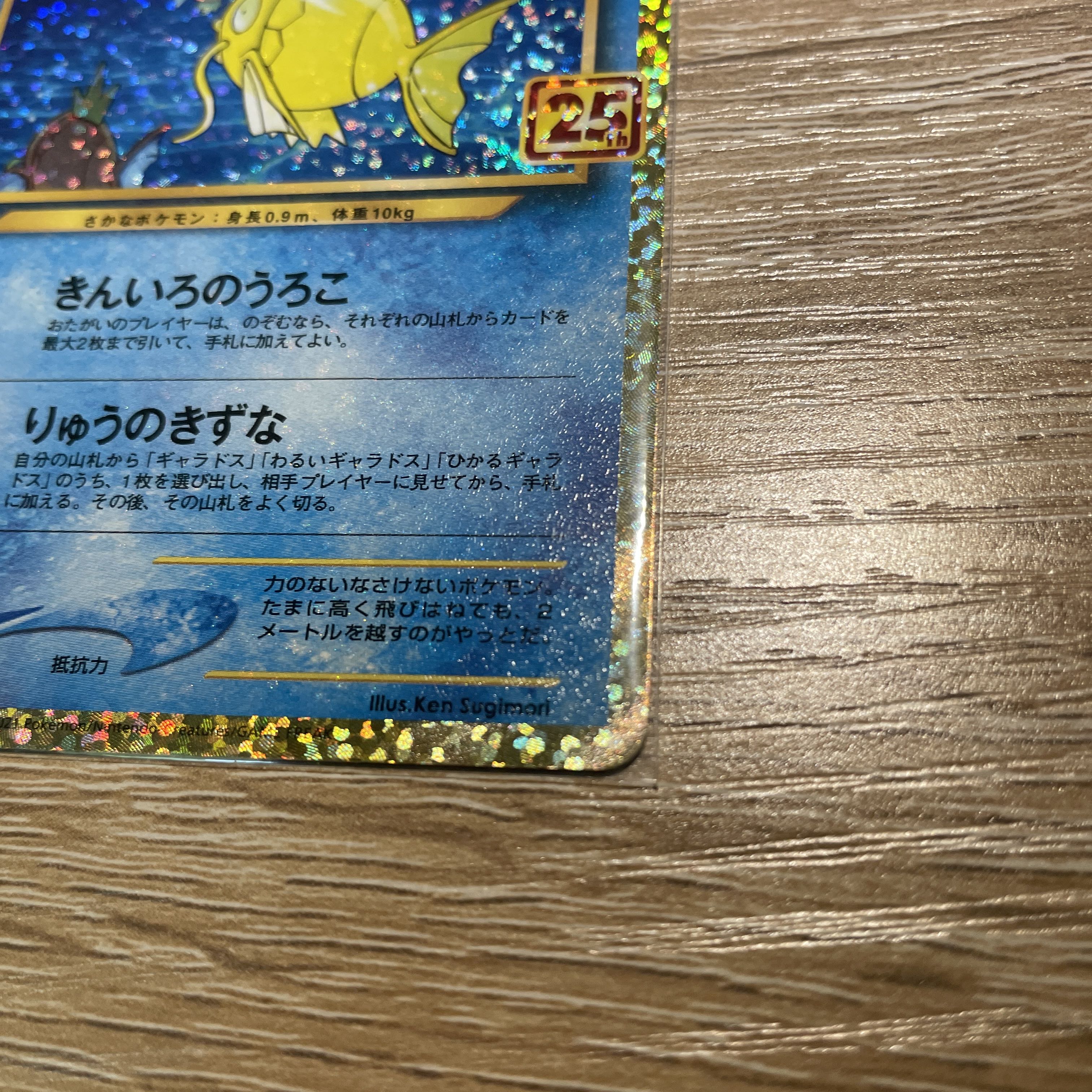 ひかるコイキング ヒカキン プロモ 25th 1枚の通販 れっくん