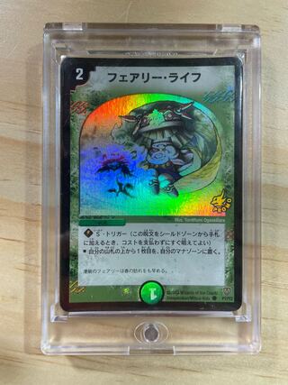 フェアリーライフ プロモ」の激安通販 | magi