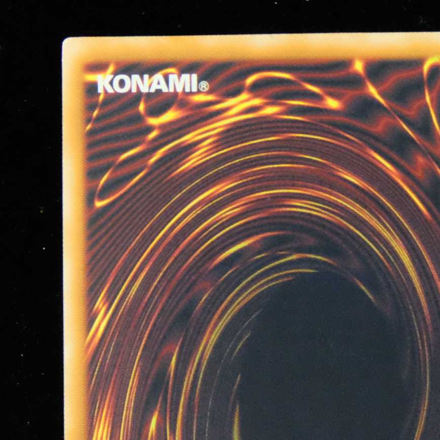 遊戯王 ブラック・ローズ・ドラゴン ホログラフィックレア 1枚の通販