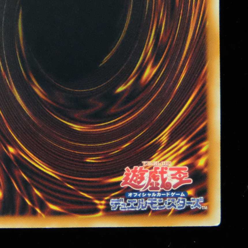 遊戯王 ブラック・ローズ・ドラゴン ホログラフィックレア 1枚の通販