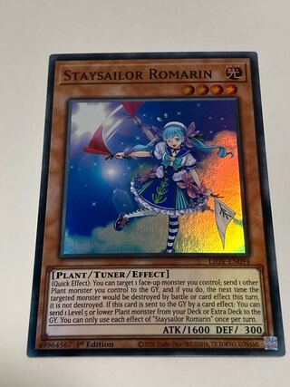 ステイセイラ ロマリン」の激安通販 | magi