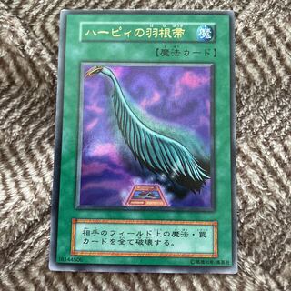 ハーピィの羽根帚 初期」の激安通販 | magi