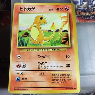 旧裏 ヒトカゲ」の激安通販 | magi