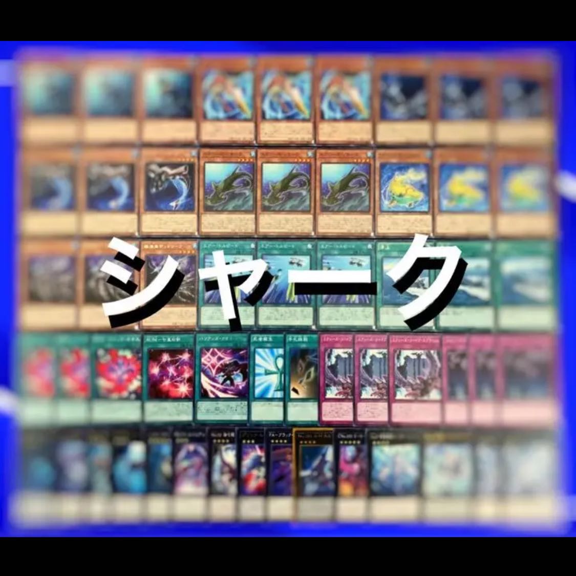 遊戯王 シャーク デッキ No.21 1枚の通販 高店コーポレーション