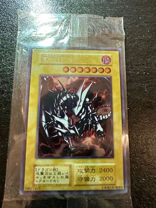 遊戯王 ステンレス製 真紅眼の黒竜 アジアチャンピオン大会 1枚の通販