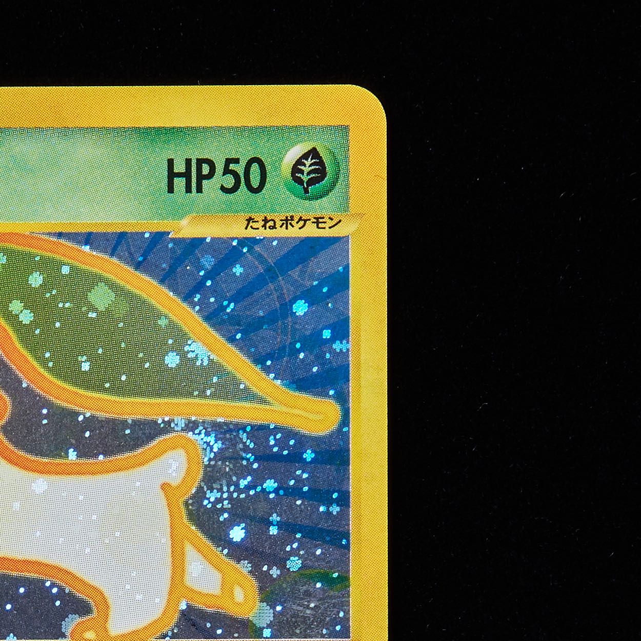 ランクA】ポケモンカードe チコリータ マクドナルド プロモ 1枚の通販