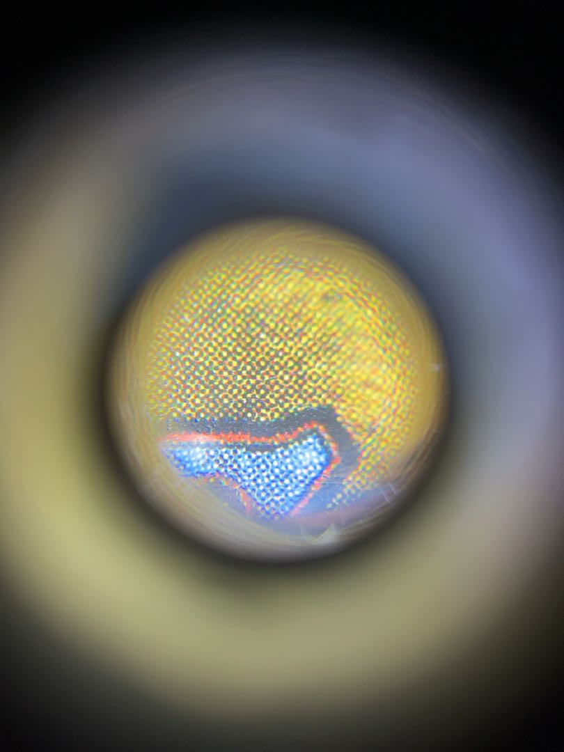 MTG ライオンの瞳のダイアモンド フランス語 1枚の通販 ぶどうぱん