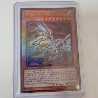 青眼の亜白龍 レリーフ」の激安通販 | magi