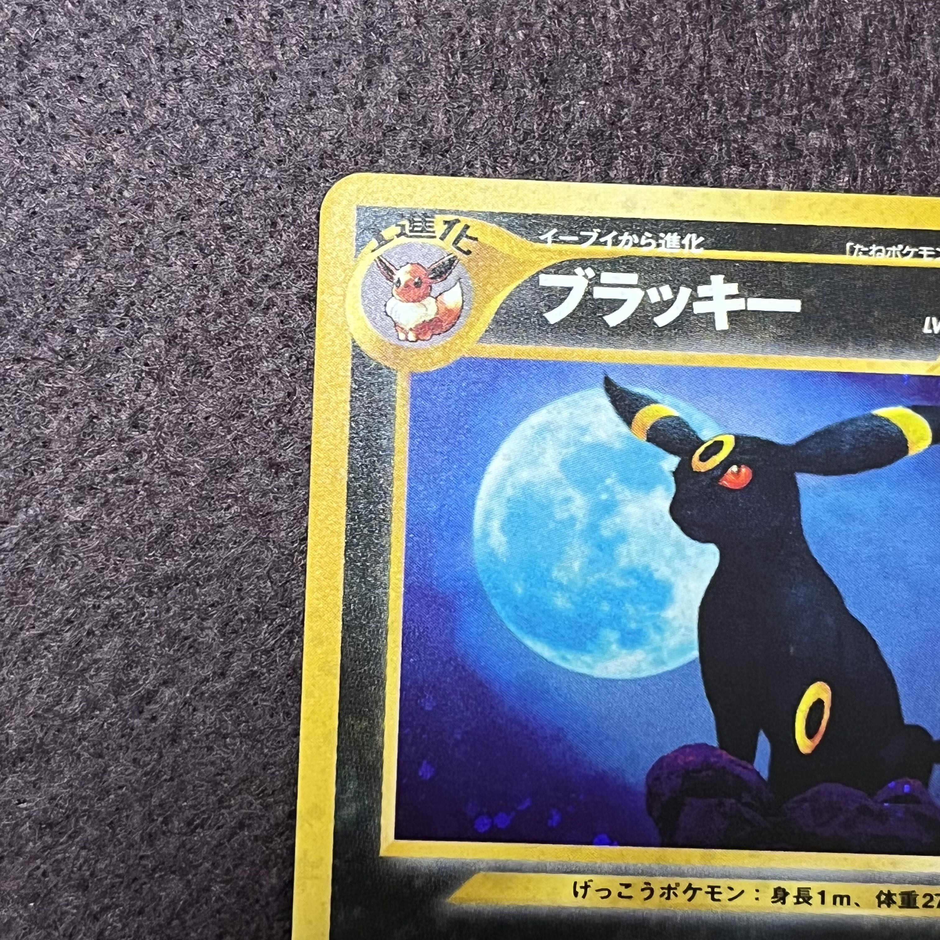 ポケモンカードneo 旧裏 ブラッキー 遺跡をこえて no.197 1枚の通販