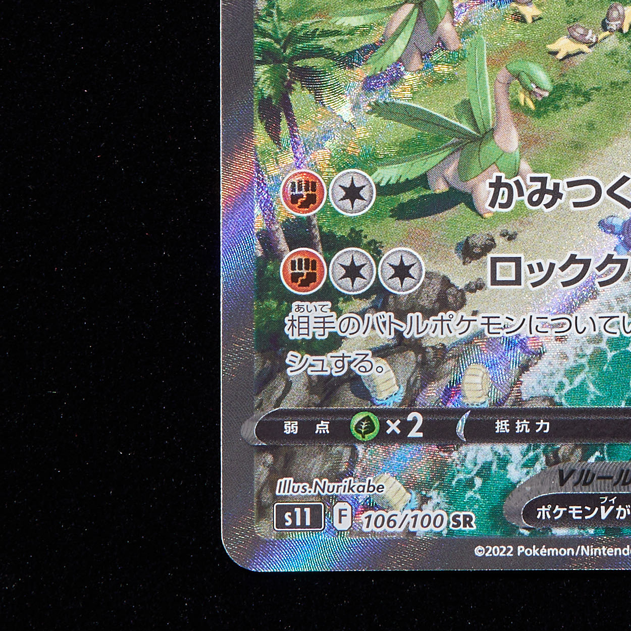 ランクA】ポケモンカード プテラ SA スペシャルアート 1枚の通販 JOKER