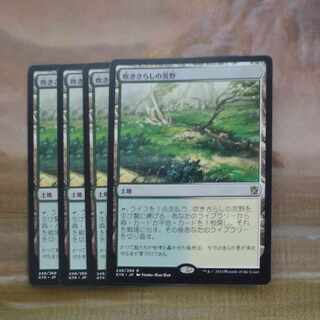 吹きさらしの荒野」の激安通販 | magi