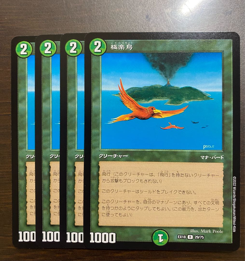 極楽鳥 4枚 4枚の通販 そま（311383339） | magi