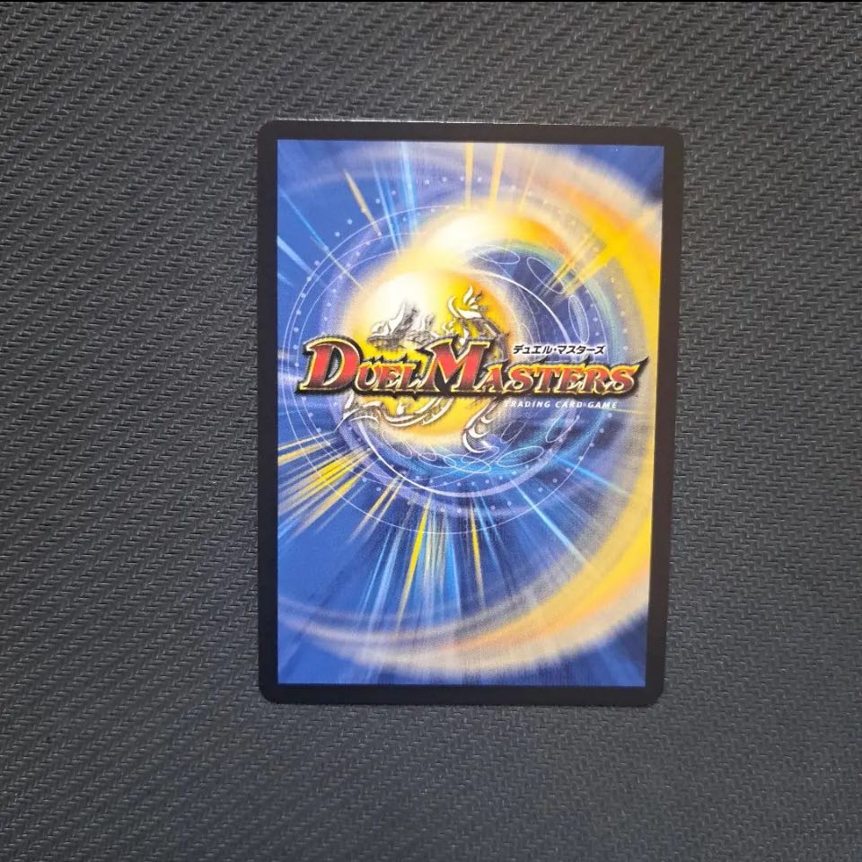 飛翔龍5000VT 赤シク 1枚の通販 あーか（1334094258） | magi