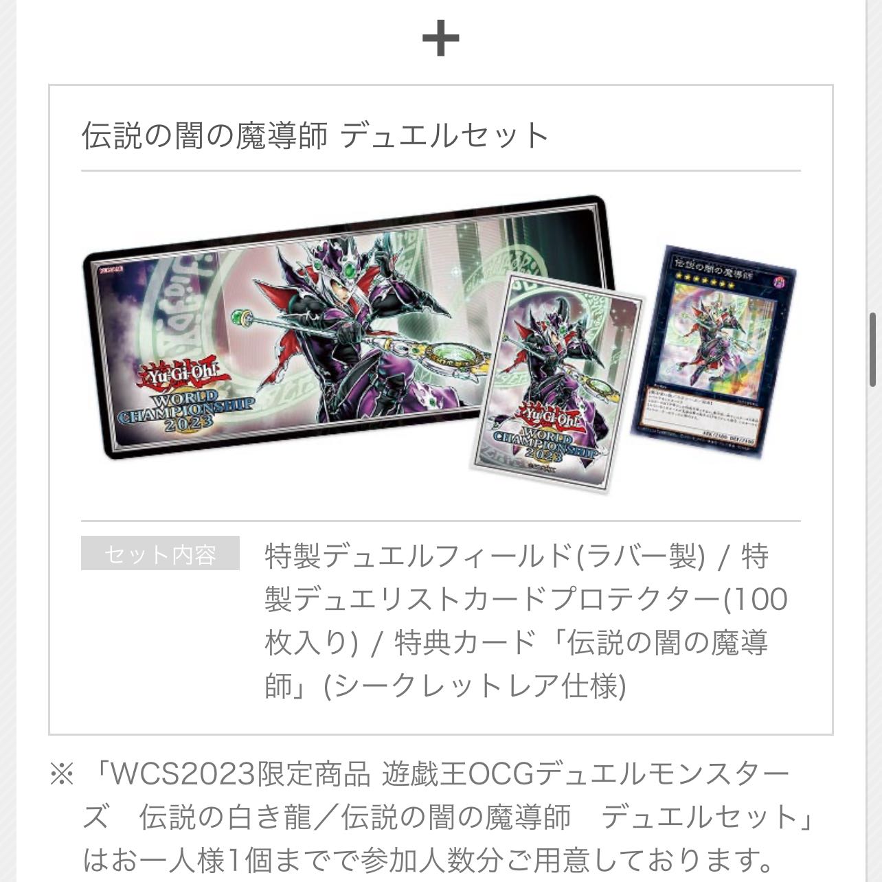 遊戯王 WCS2023 伝説の白き龍 伝説の闇の魔導師 デュエルセット17個