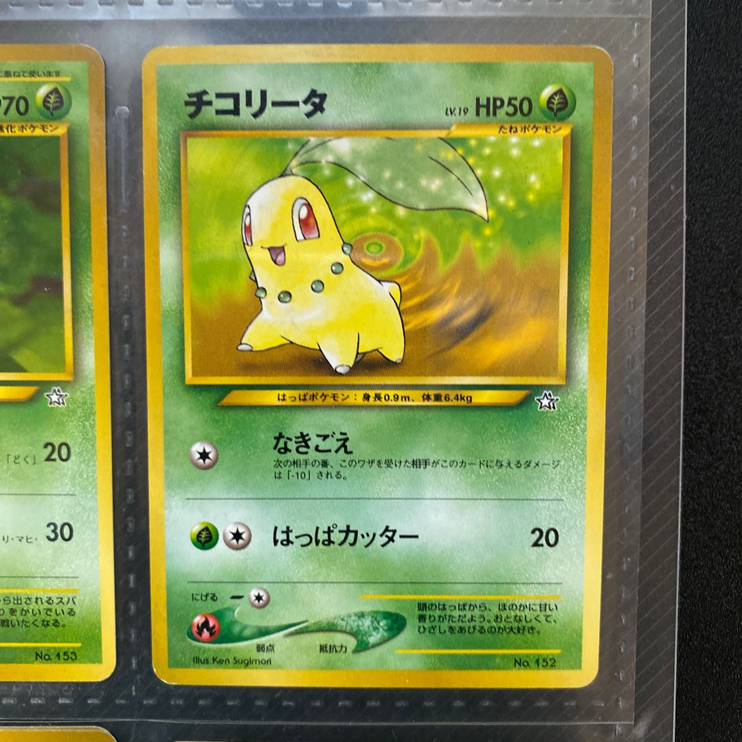 ポケモンカード☆neo プレミアムファイル＋プレミアムファイル3 1枚の