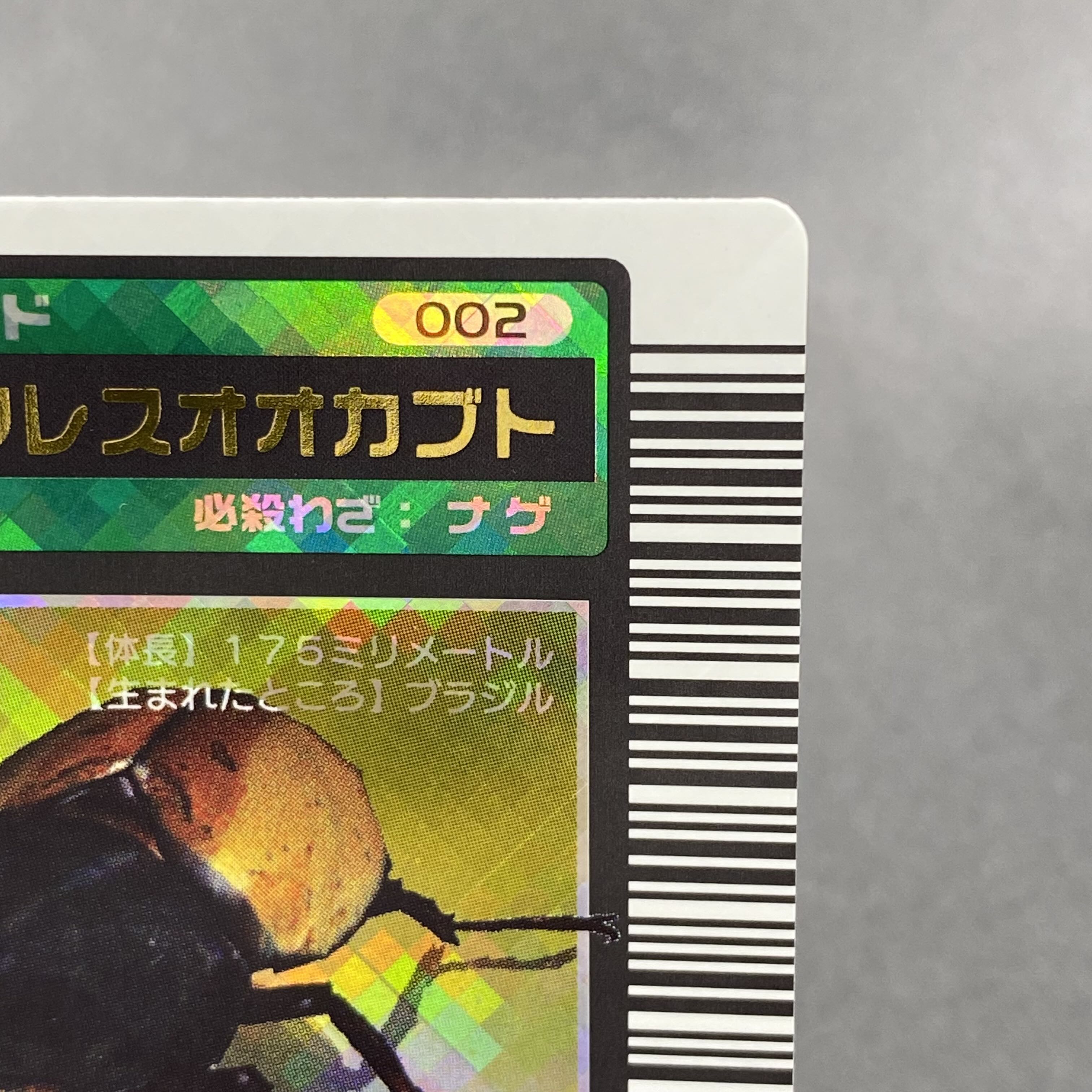 またこ ヘルクレスオオカブト2003 SPRING春 学名黒バーコードキラ また