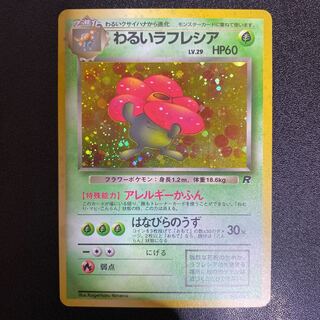 わるいラフレシア」の激安通販 | magi