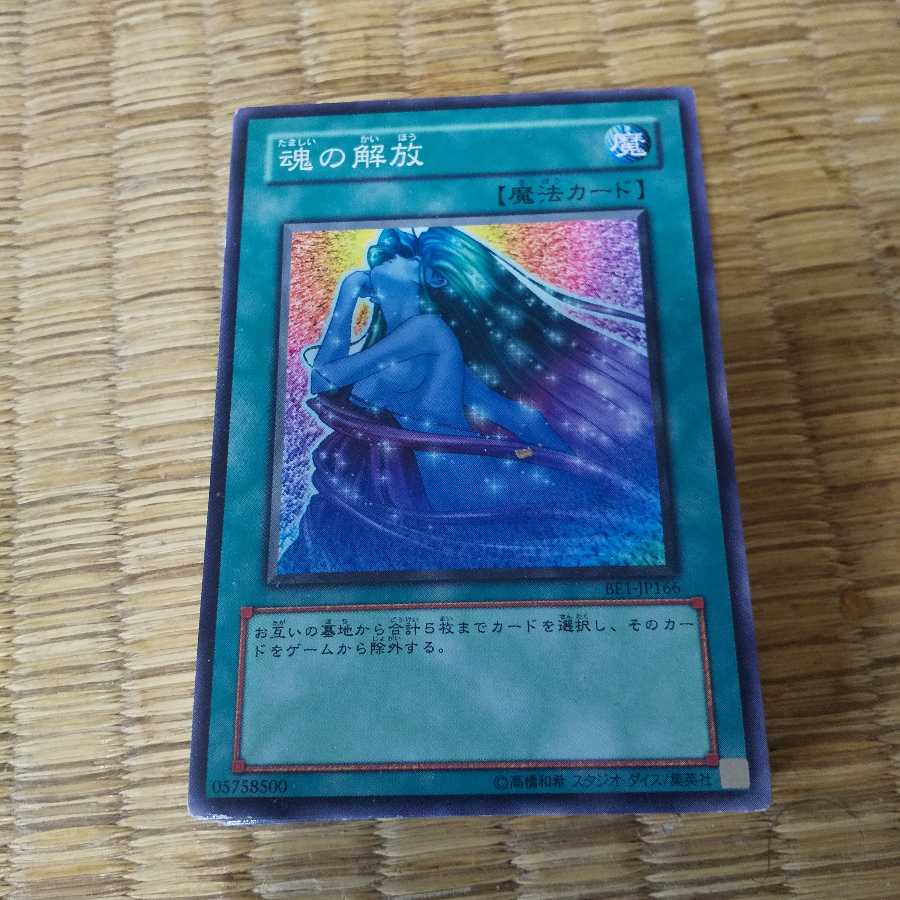 魂の解放10枚 10枚の通販 418008238（1097569219） | magi
