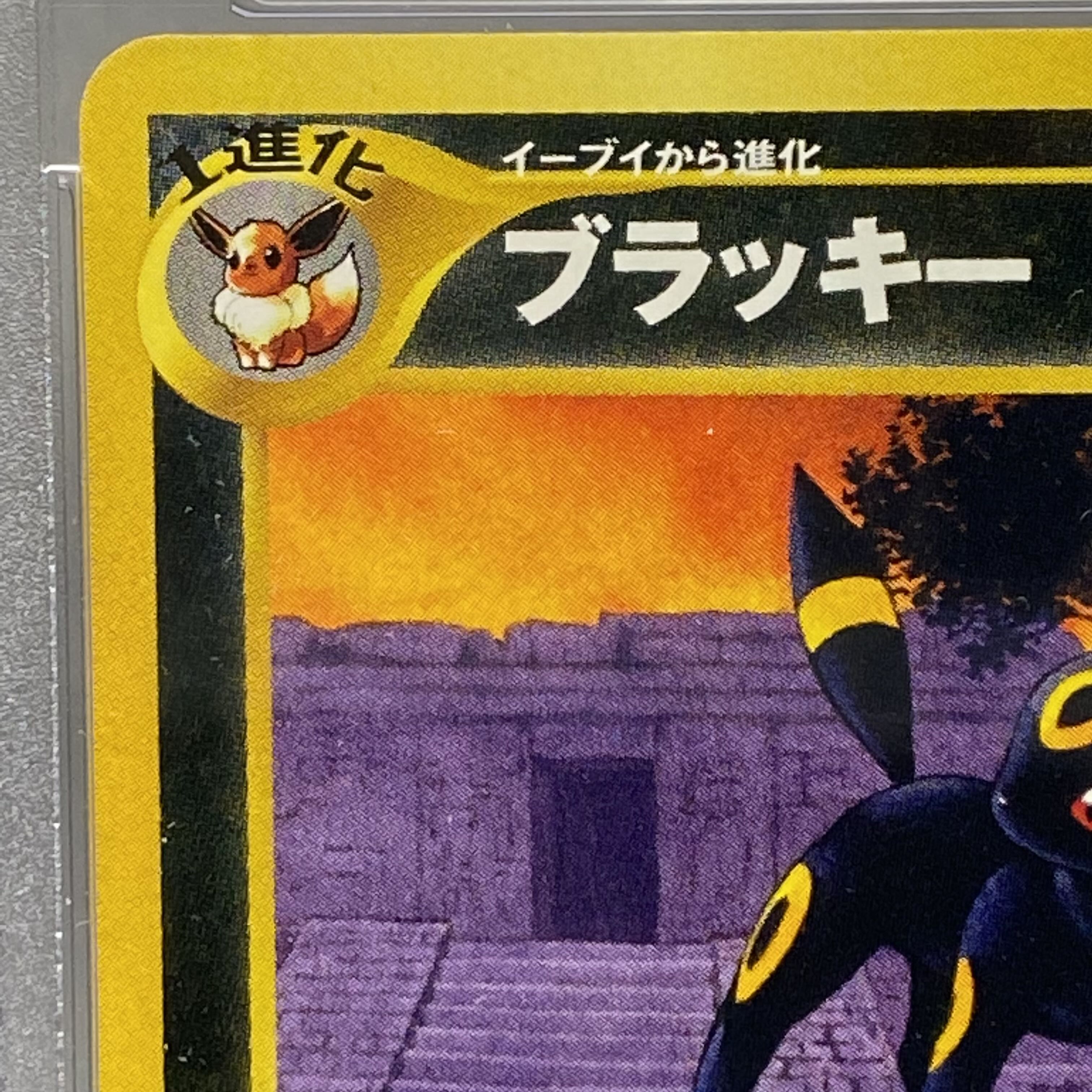 PSA10 旧裏 ブラッキー No.197 1枚の通販 土日祝休 magi公式(委託商品