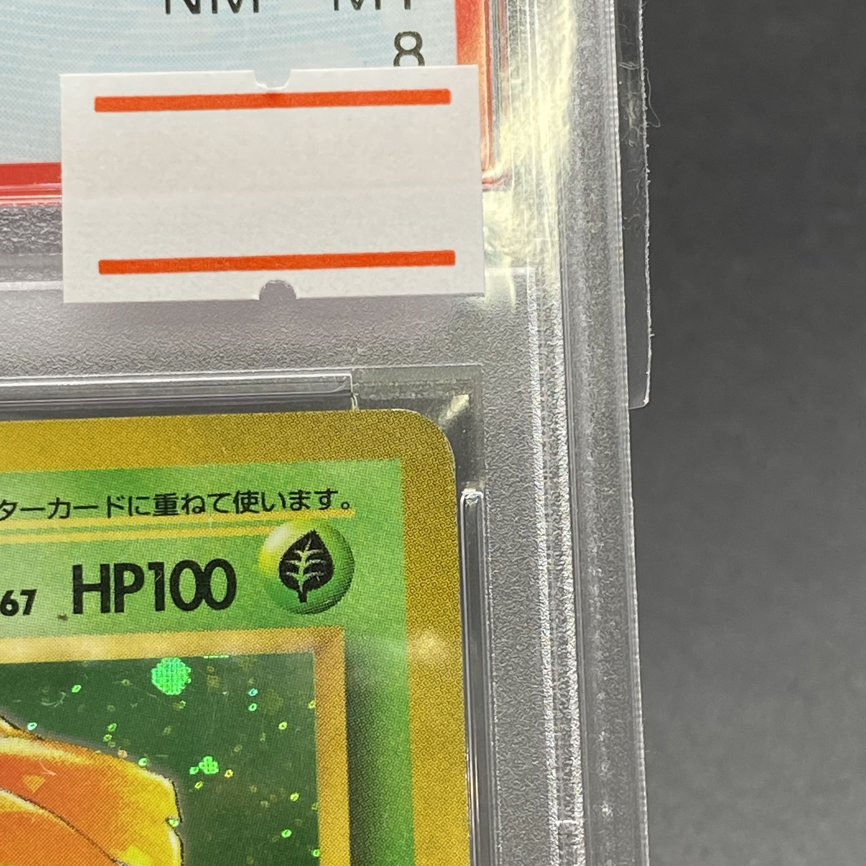 PSA8】フシギバナ 旧裏 初版 マークなし 1枚の通販 土日祝休 magi公式