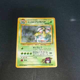 エリカのフシギバナ」の激安通販 | magi