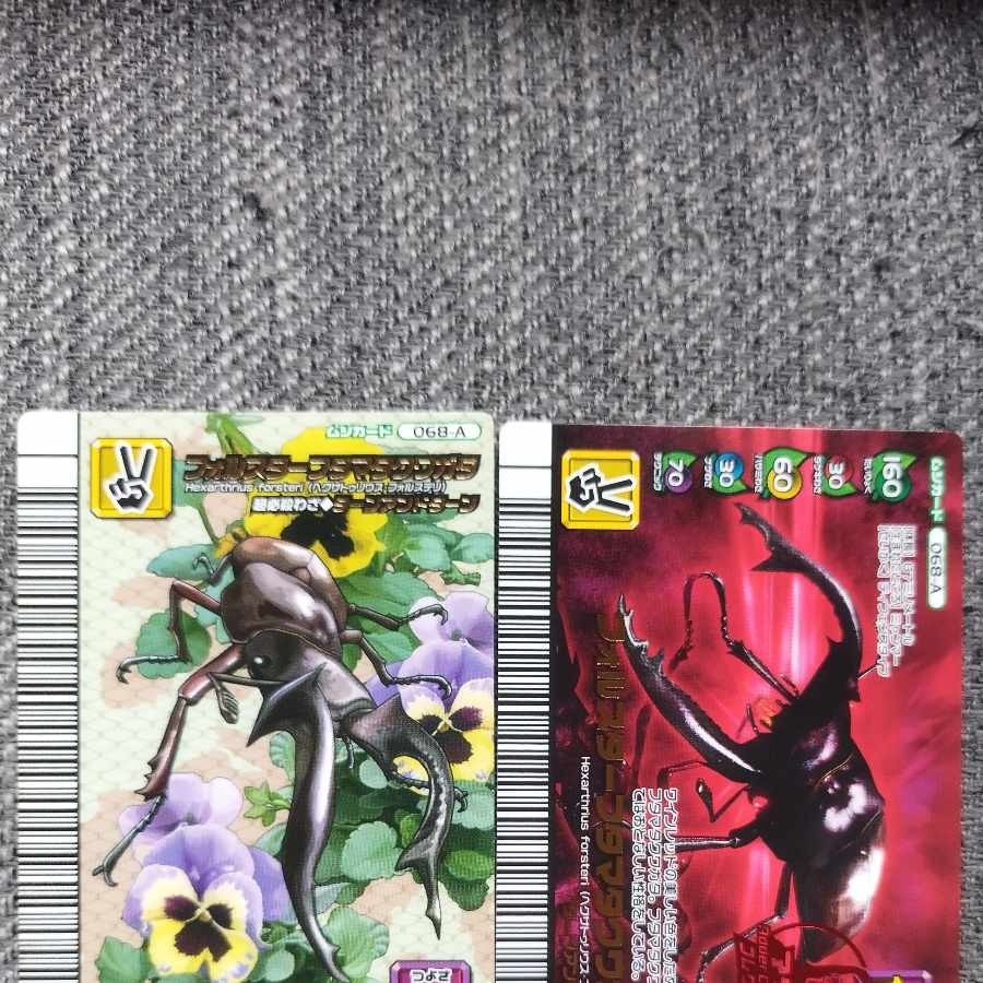 ムシキング アダーコレクション フォルスターフタマタクワガタ 5周年