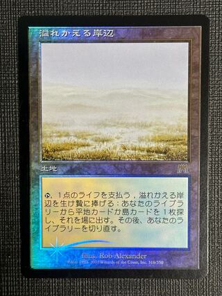 溢れかえる岸辺」の激安通販 | magi