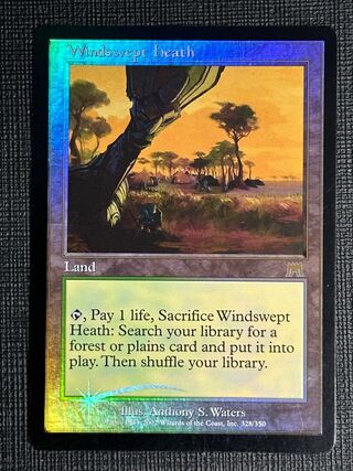 吹きさらしの荒野」の激安通販 | magi