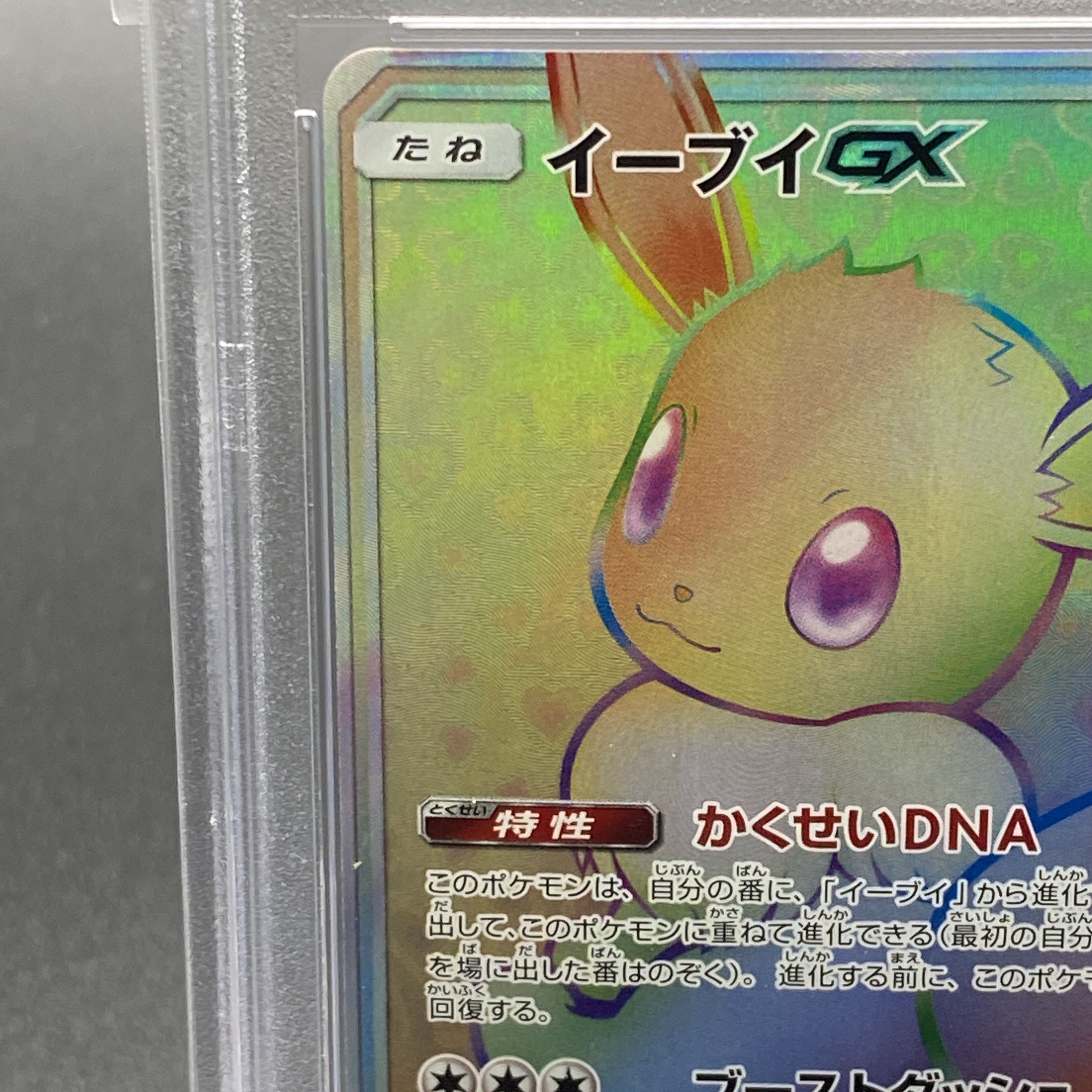 PSA10】イーブイGX HR 219/173 1枚の通販 土日祝休@magi公式