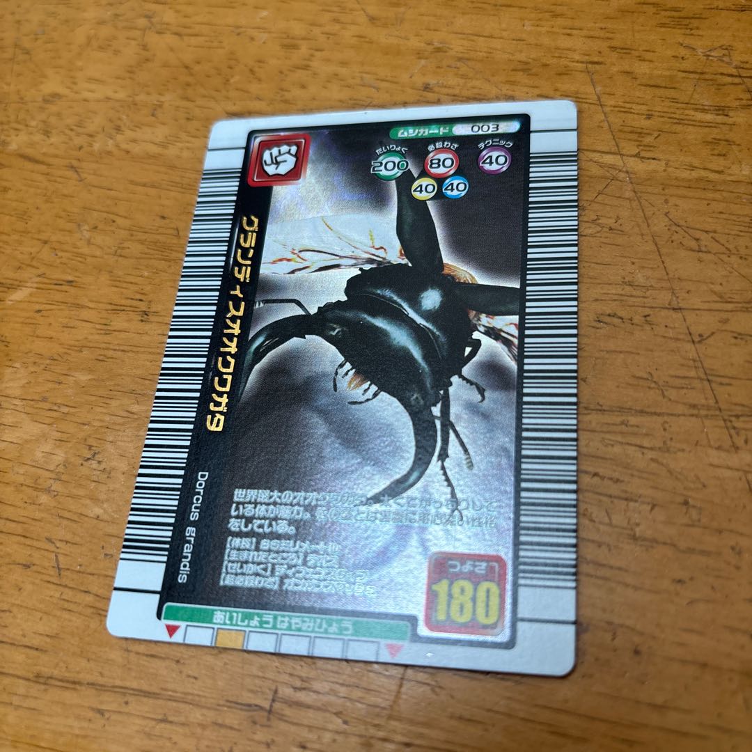 ムシキング グランディスオオクワガタ 1枚の通販 1928639273