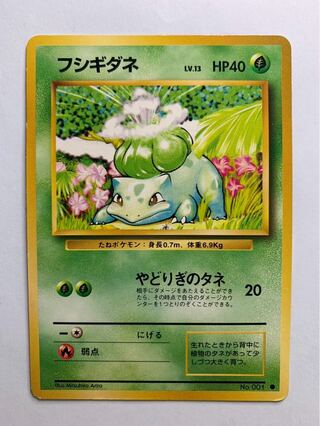 フシギダネ 旧裏」の激安通販 | magi