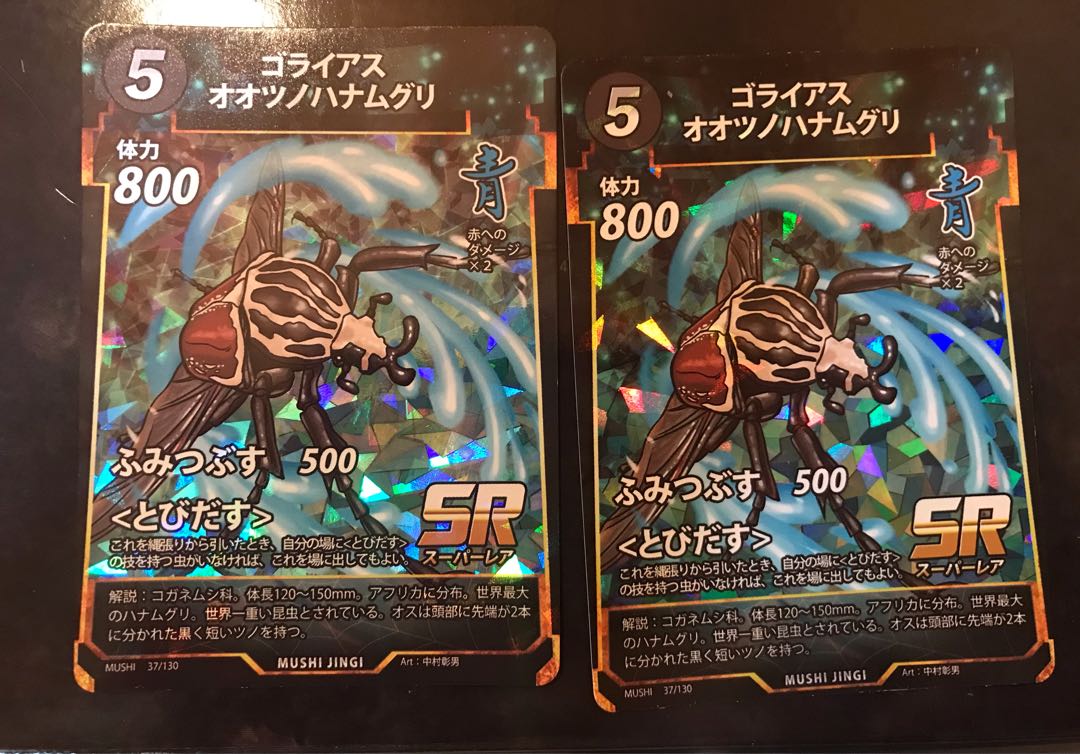 蟲神器 ゴライアスオオツノハナムグリ 2枚セット 2枚の通販 ゆう