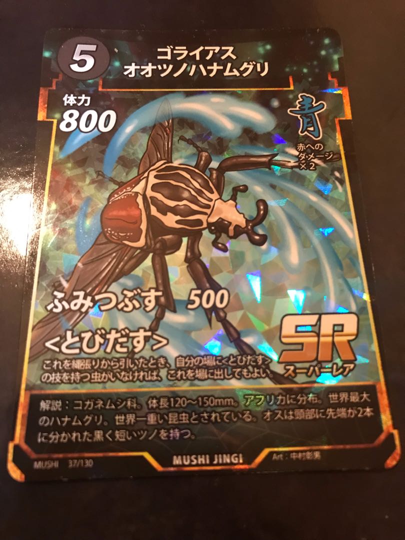 蟲神器 ゴライアスオオツノハナムグリ 2枚セット 2枚の通販 ゆう