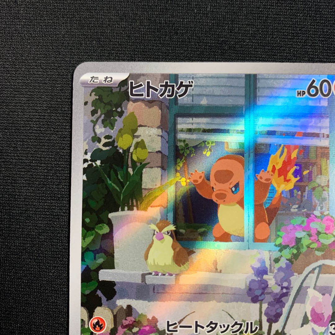 ヒトカゲ AR スペシャルデッキセットex 1枚の通販 gon（1938789176