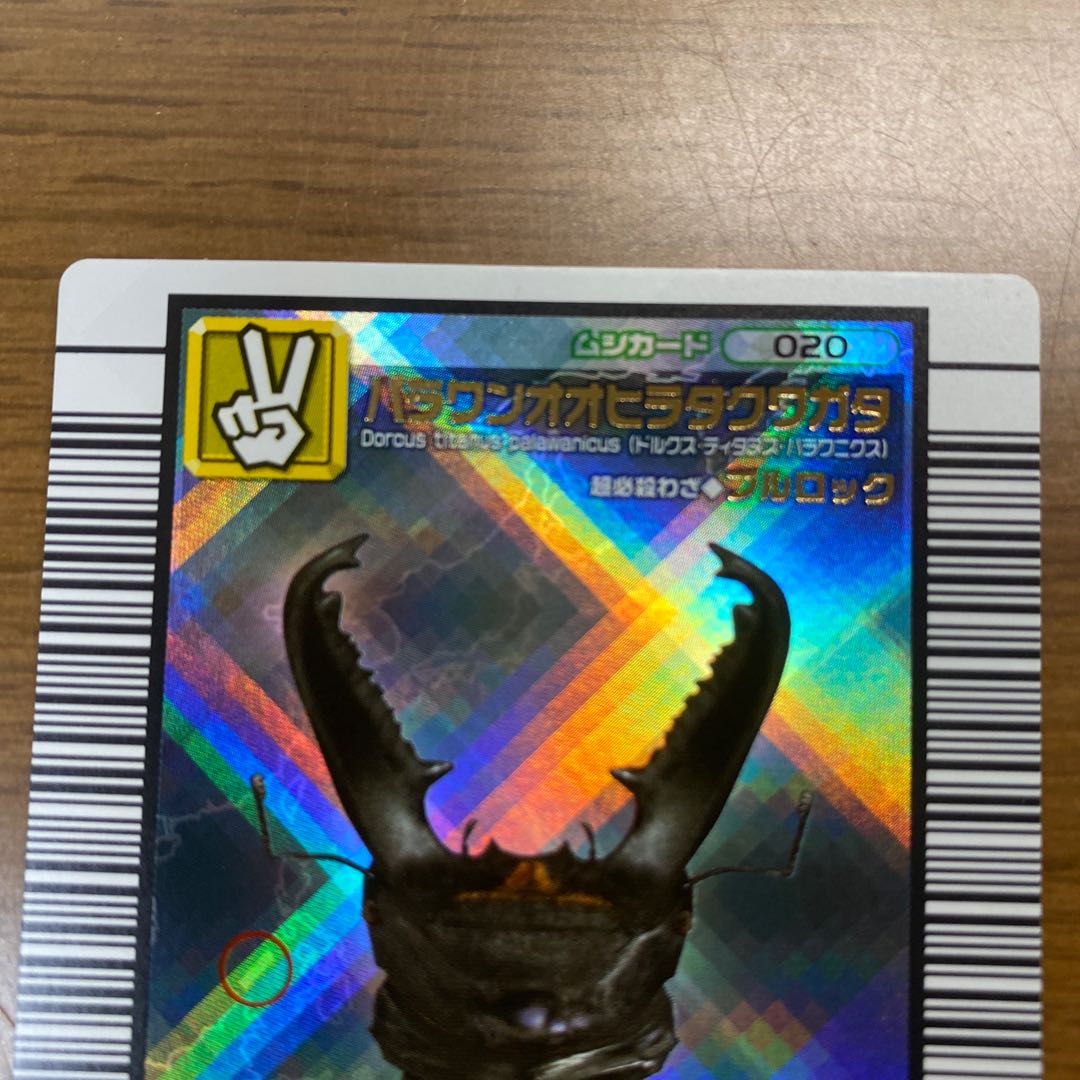 ムシキング パラワンオオヒラタクワガタ2005 1枚の通販 Lion